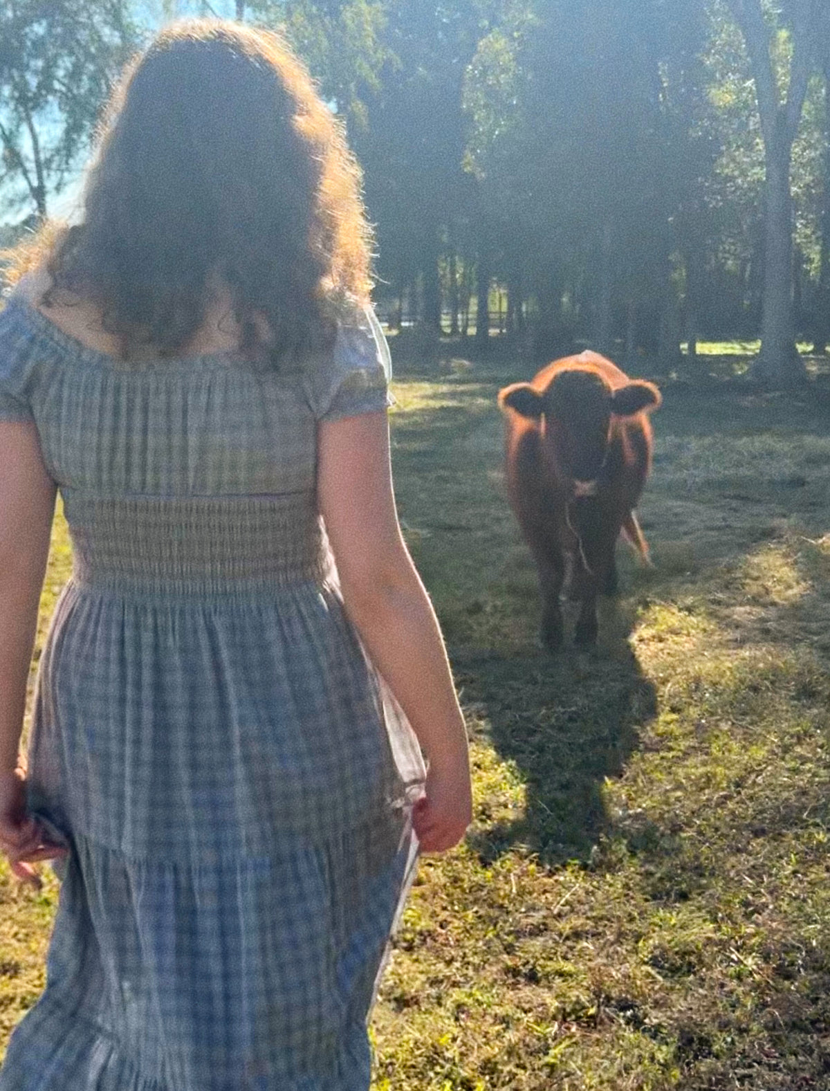 woman wearing a blue gingham maxi dress with a cow in the background 